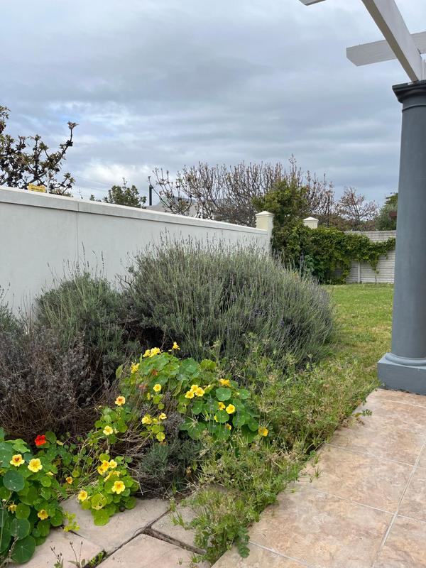 3 Bedroom Property for Sale in Royal Ascot Western Cape